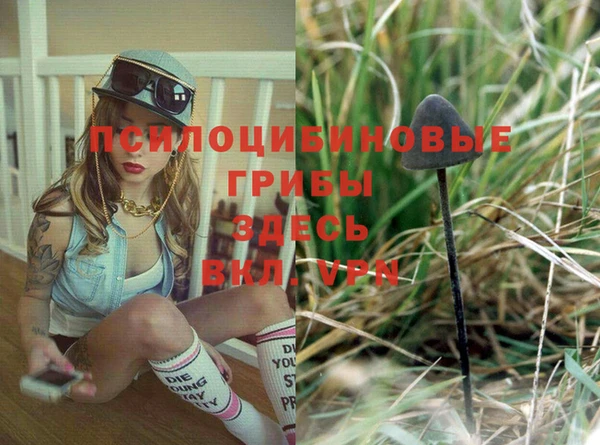 скорость mdpv Козловка